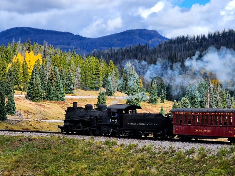 Wildlife Spotting Along The Mountain Rails