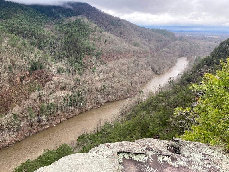 Starr Mountain Trail, Hiwassee/Ocoee Scenic River State Forest