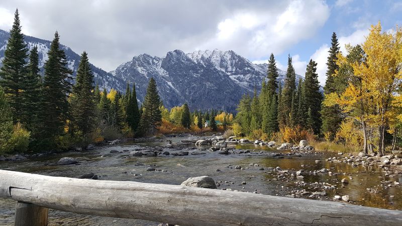 Local Flora And Botanical Highlights