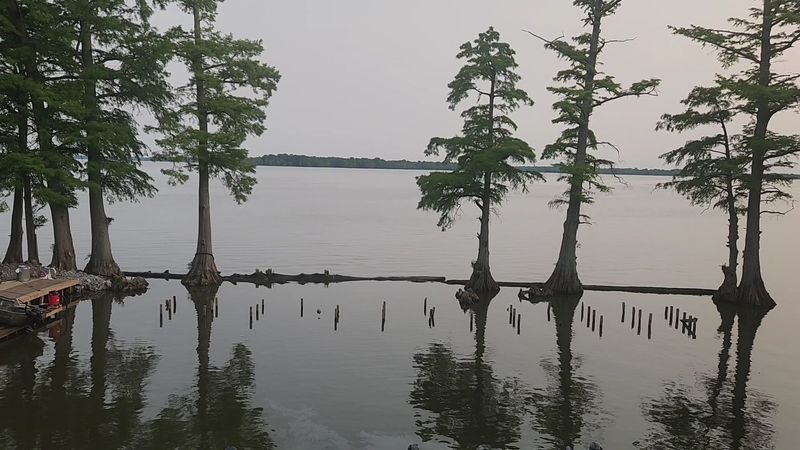 Reelfoot Lake Gives Your Trip A Story Before You Even Arrive