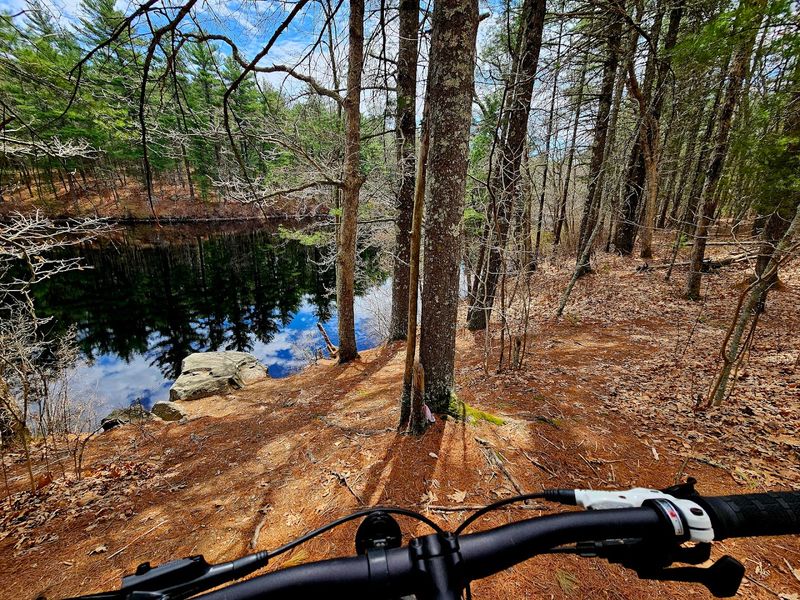 F. Gilbert Hills State Forest, Foxborough
