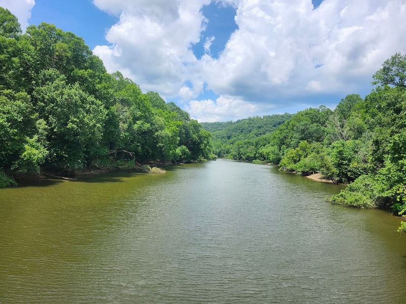 How Water Clarity Enhances Wildlife Observation Opportunities