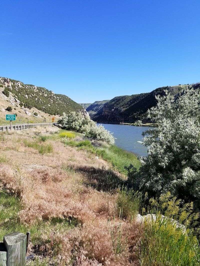 Diverse Flora And Fauna In The Area