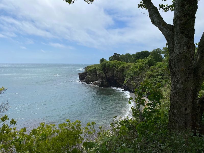 Diverse Wildlife Habitats To Observe