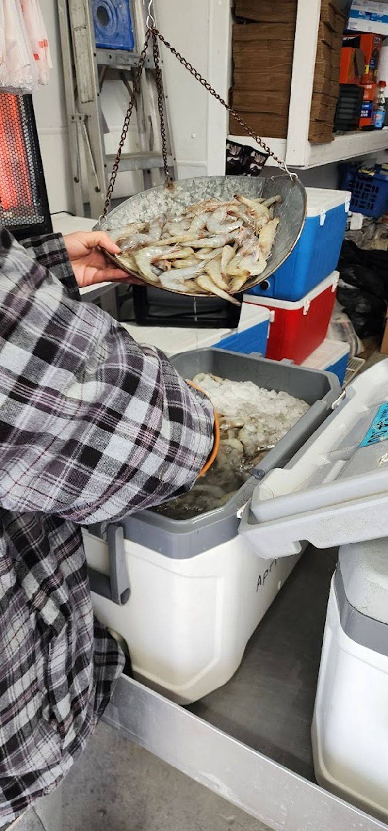 Quality Checks For Fresh Seafood Purchases