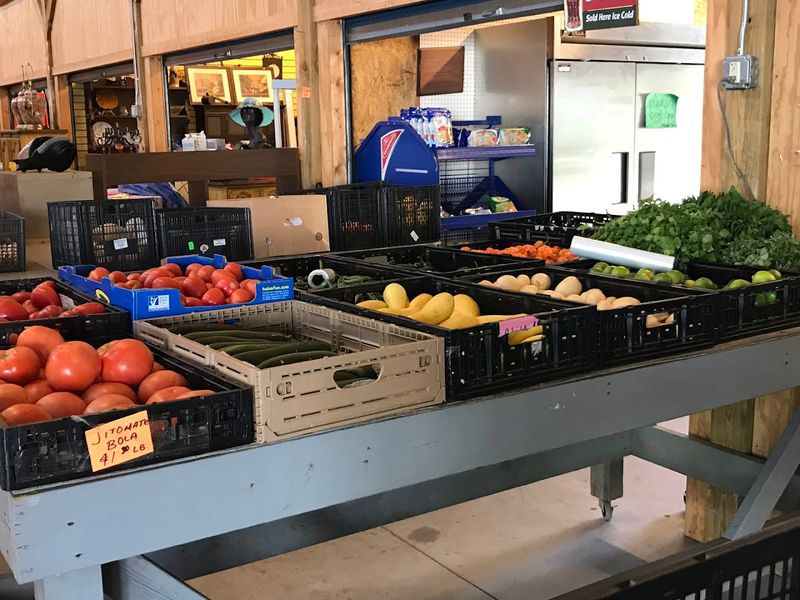 Food Options And Local Flavors