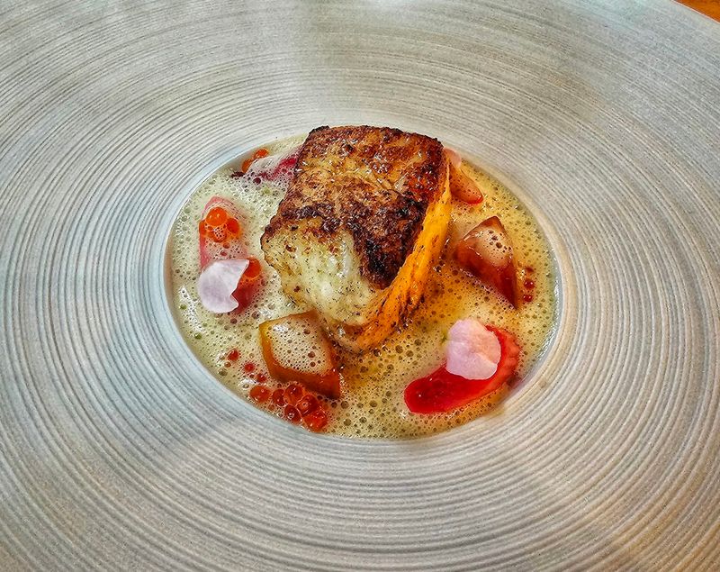 The Salmon That Earns Its Own Legend