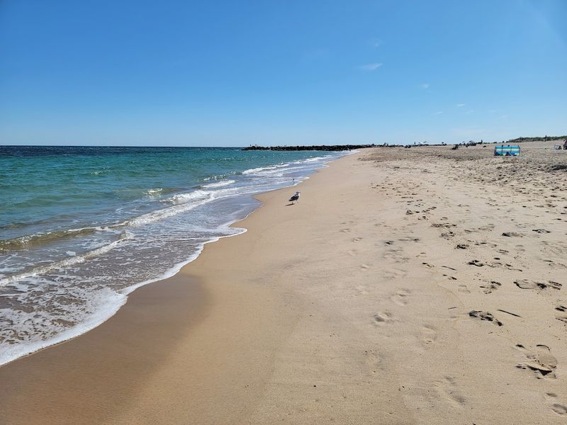 Charlestown's Quiet Shoreline And Wildlife Refuge