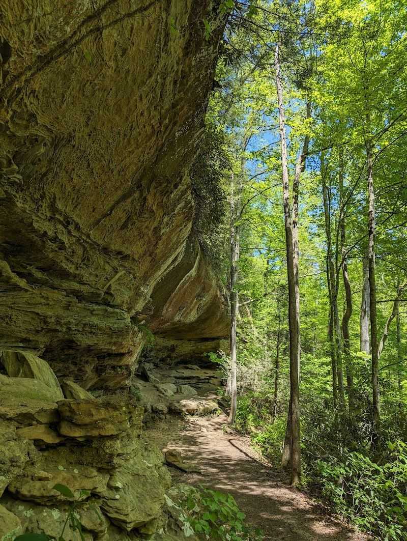 The Loop Trail Worth Every Step