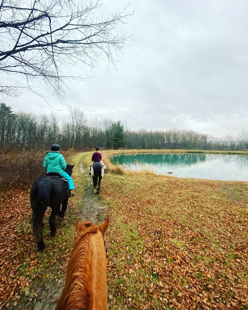 Why This Farm Stay Belongs On Your Bucket List