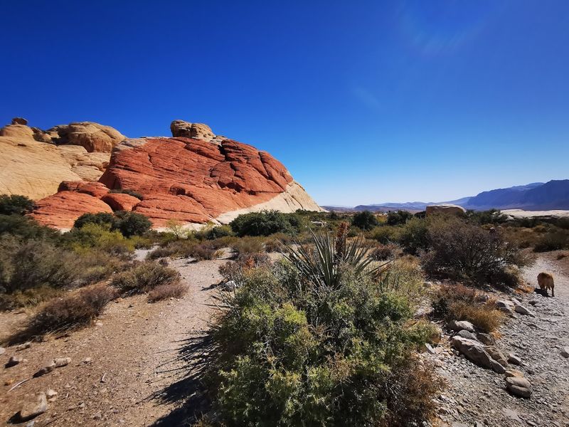 Red Rock Canyon National Conservation Area, Nevada