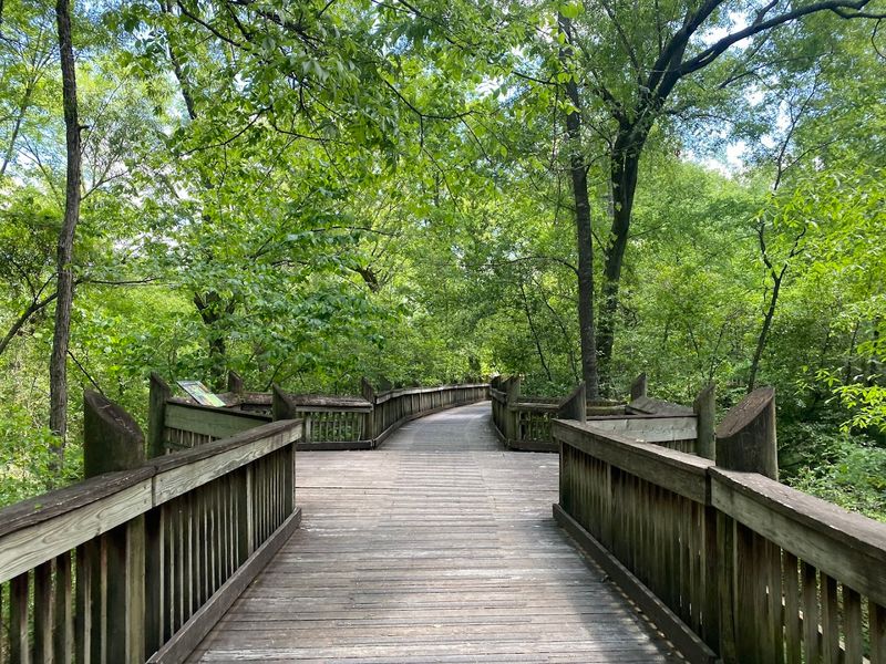 Explore LeFleur's Bluff State Park