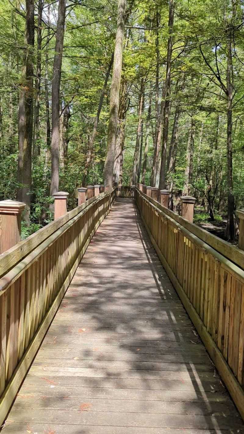 Spend A Morning At Sky Lake WMA Boardwalk