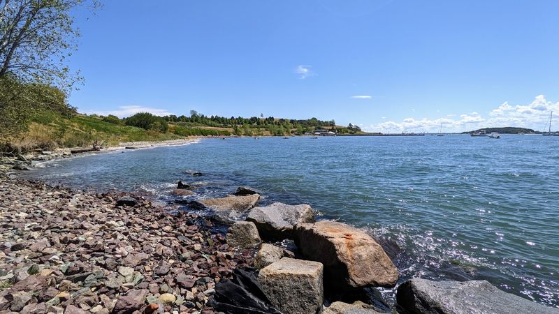Why Spectacle Island Belongs On Every World Cup Visitor's Itinerary