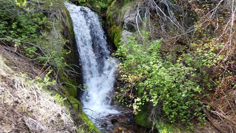 It Includes Multiple Designated Wilderness Areas