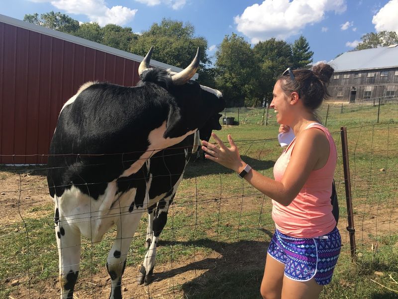 Education Is A Big Part Of The Sanctuary's Work