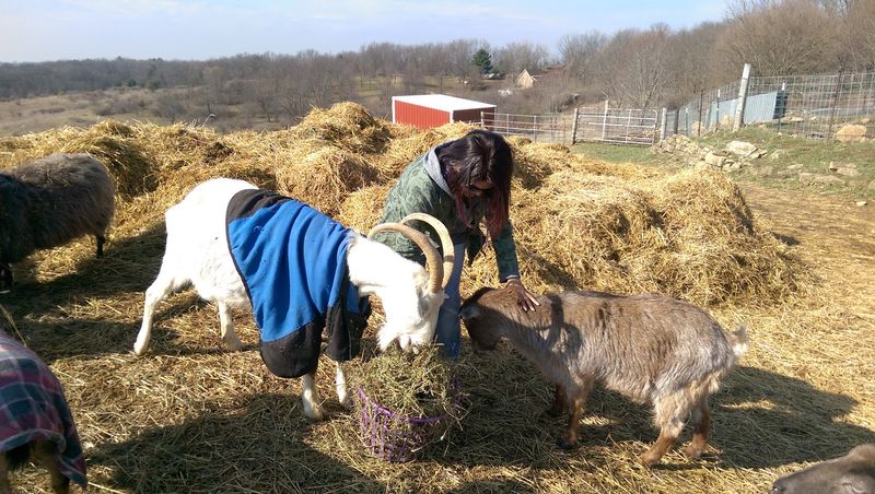 Animal Stories Make Every Visit Feel Personal