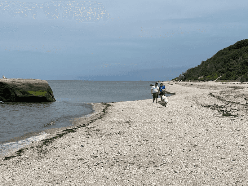 Low Tide Is Your Golden Ticket