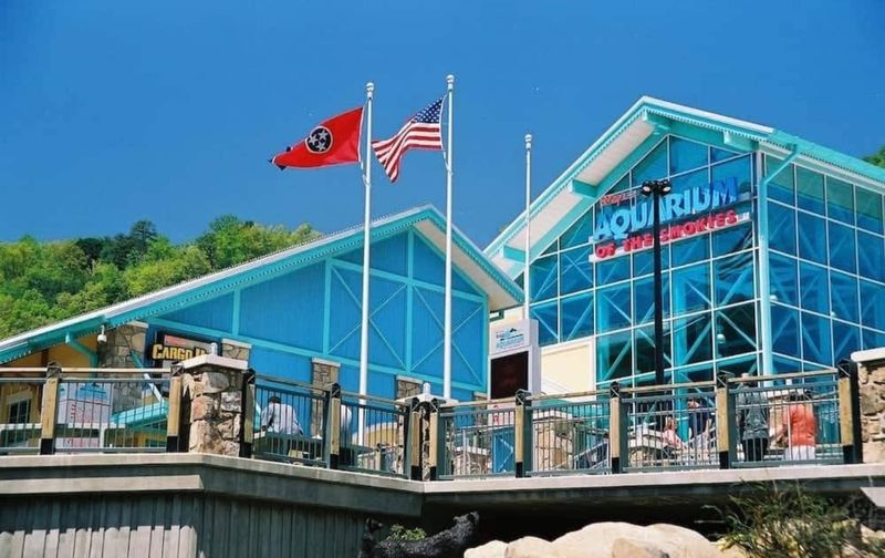 Visit Ripley's Aquarium Of The Smokies