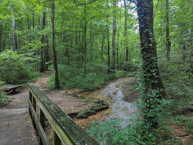 Picnic And Hike At Red Clay State Historic Park, Bradley County