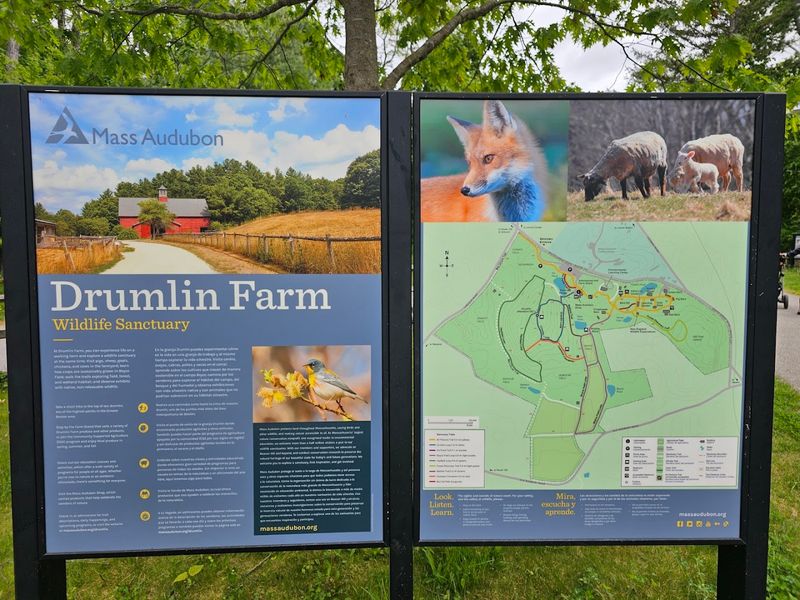 The Farm Stand And Gift Shop Worth Exploring Before You Leave