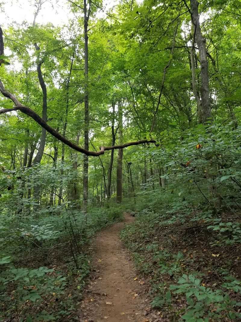 Mossy Ridge Trail, Percy Warner Park, Nashville