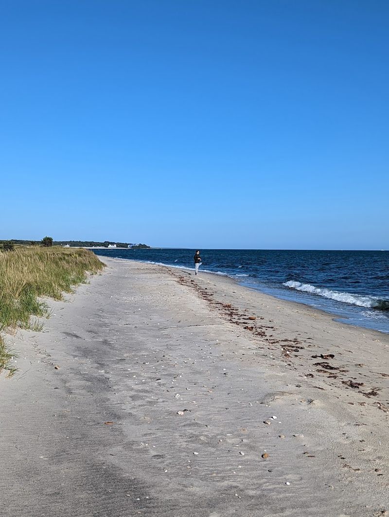 Sampsons Island Wildlife Sanctuary, Barnstable