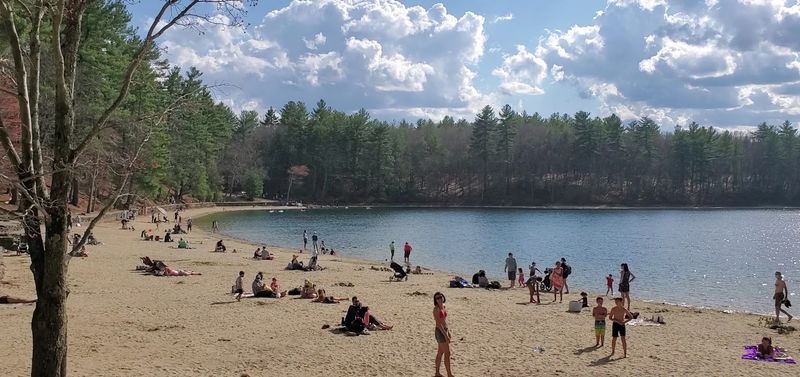 Swimming At Walden Pond Feels Unlike Any Other Beach Day