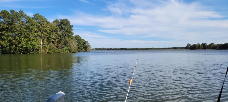 Fishing Spots That Reel You Right Back In
