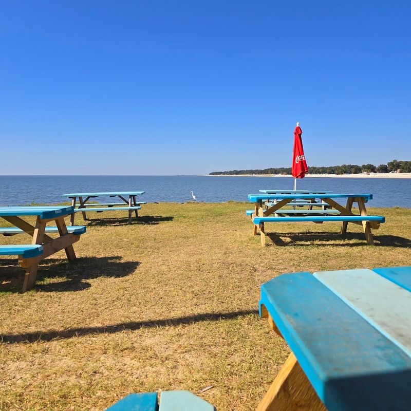 A Gulf Coast Spot That Changes Everything