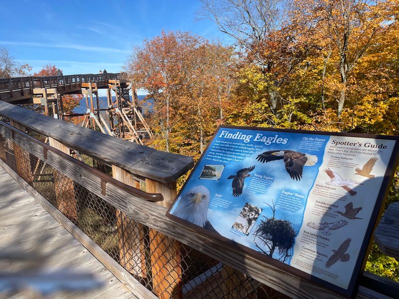 Peninsula State Park Is Home To About 125 Bird Species