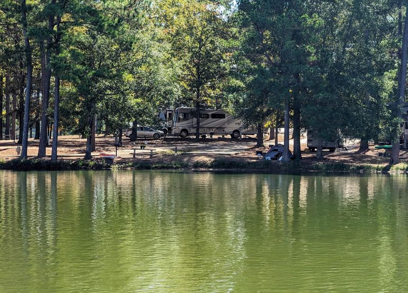 Camping Options For Every Kind Of Adventurer