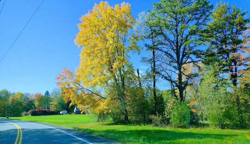 No Traffic Lights, No Stress