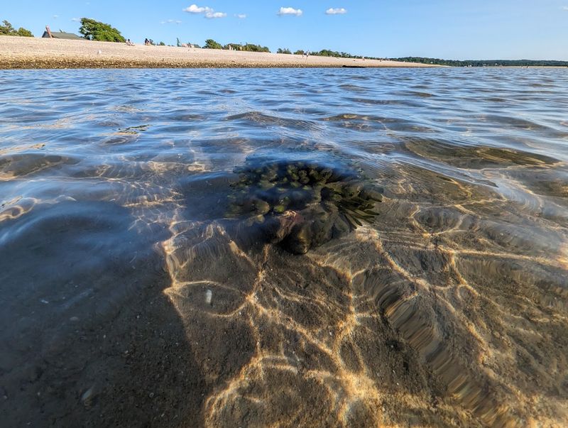 The Tidal Science Behind The Magic