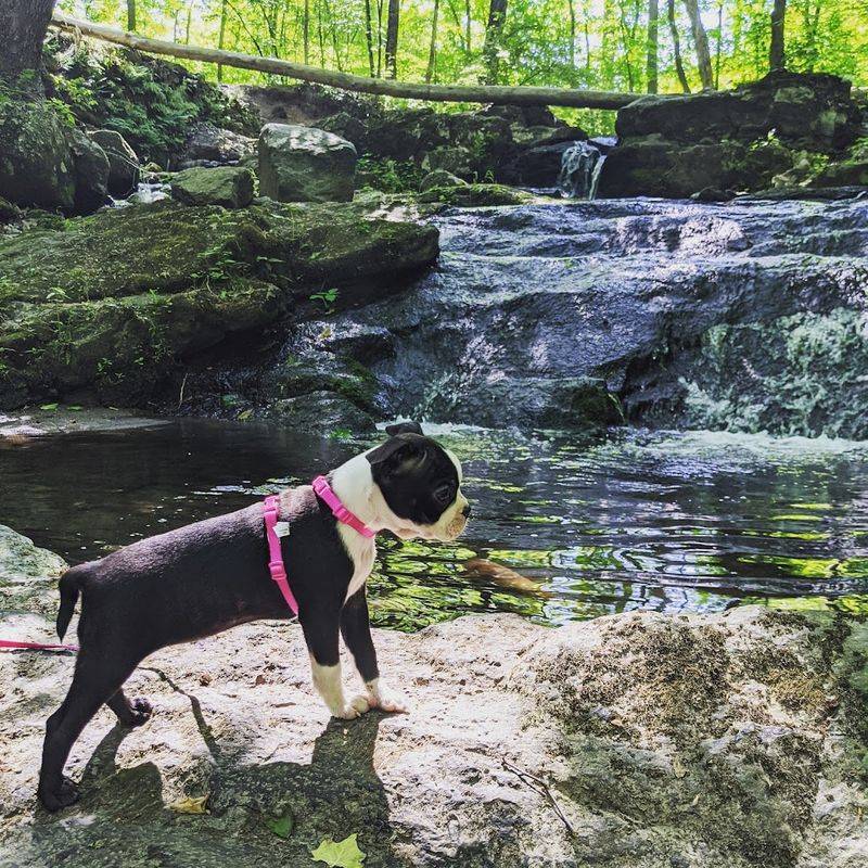 Robinson State Park