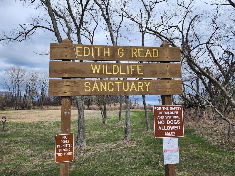 Edith Read Wildlife Sanctuary