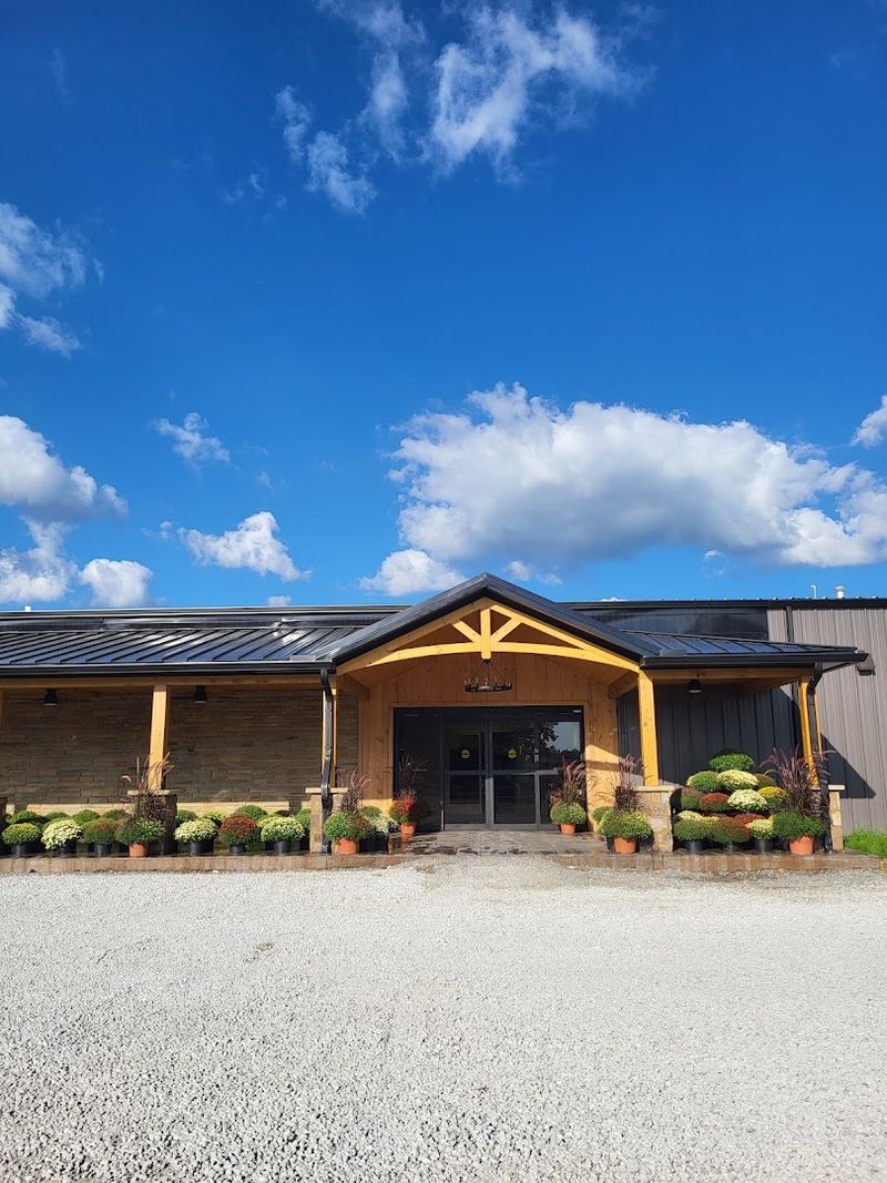 Finding The Salvage Market In Clarkrange, Tennessee