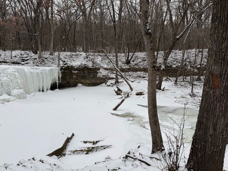 Winter Turns This Forest Into Something Else Entirely