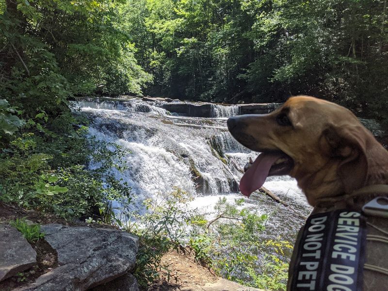 Seasonal Conditions And The Best Time Of Year To Visit