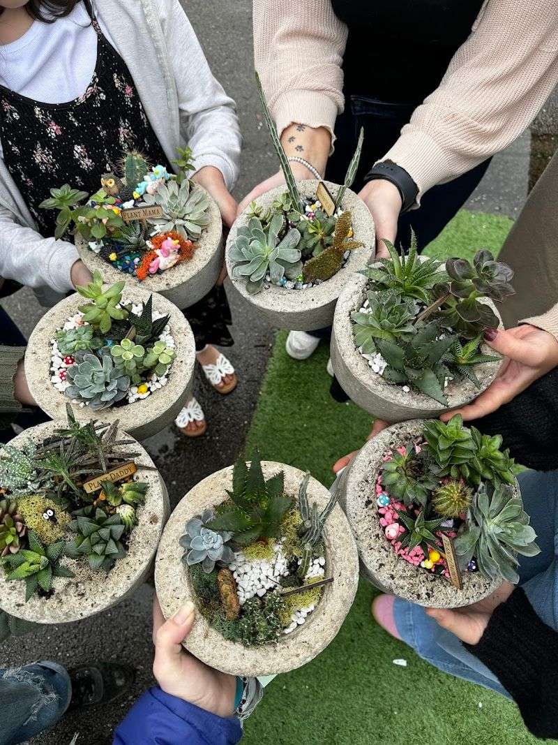 The Mobile Succulent Bar That Brings The Experience To You