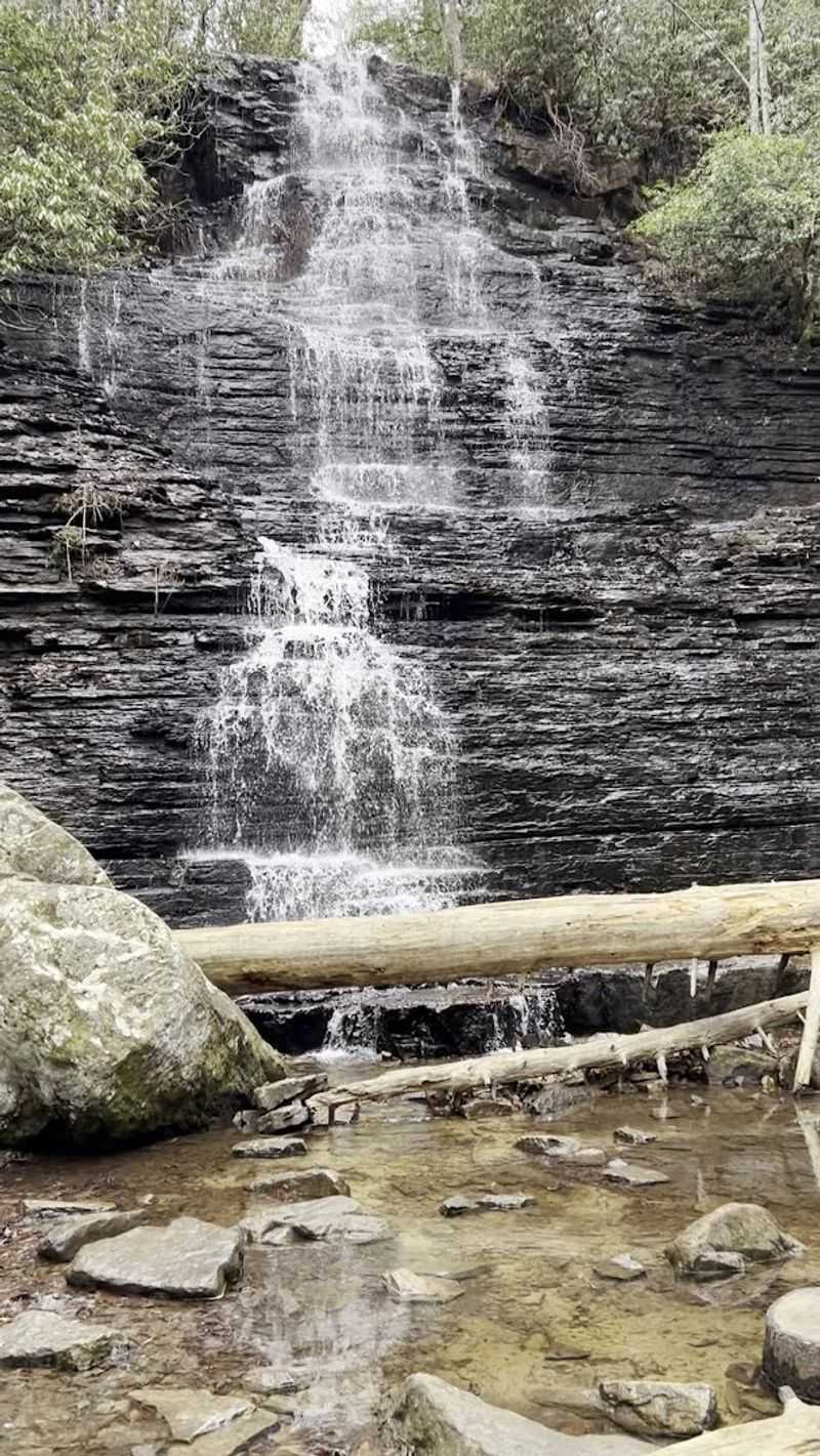Why This Short Tennessee Trail Stays With You Long After You Leave