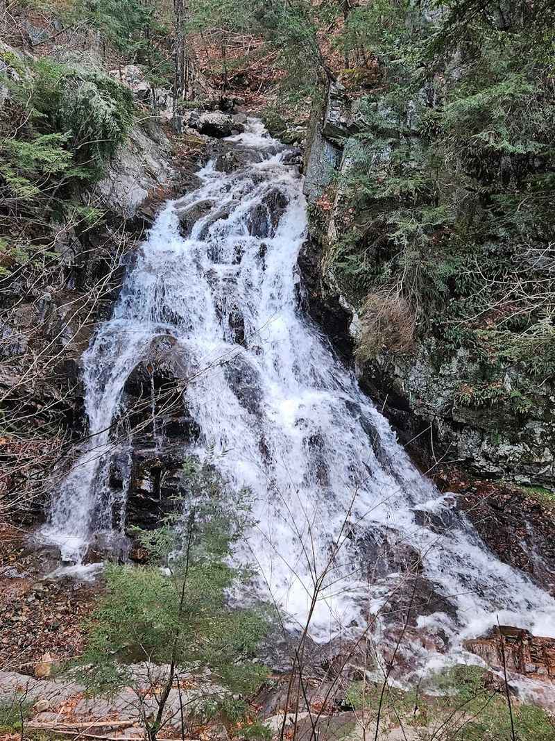 Navigating The Trail Without Getting Lost