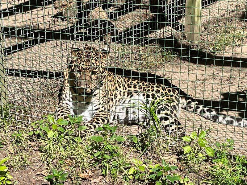 The Conservation Mission That Quietly Powers Everything Here