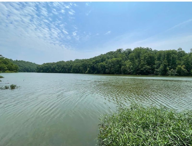 Planning Your Visit To Marrowbone Lake The Right Way