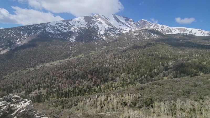 The Scenic Drive Climbs Into A Cooler Alpine World