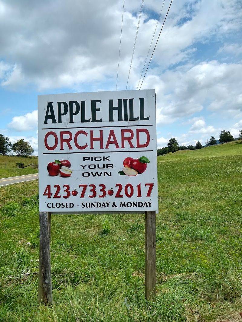 Apple Hill Orchard, Treadway, TN