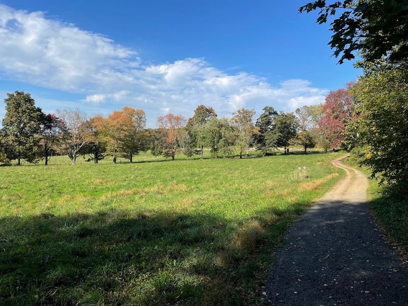 Rockefeller State Park Preserve Is The Star Of The Show