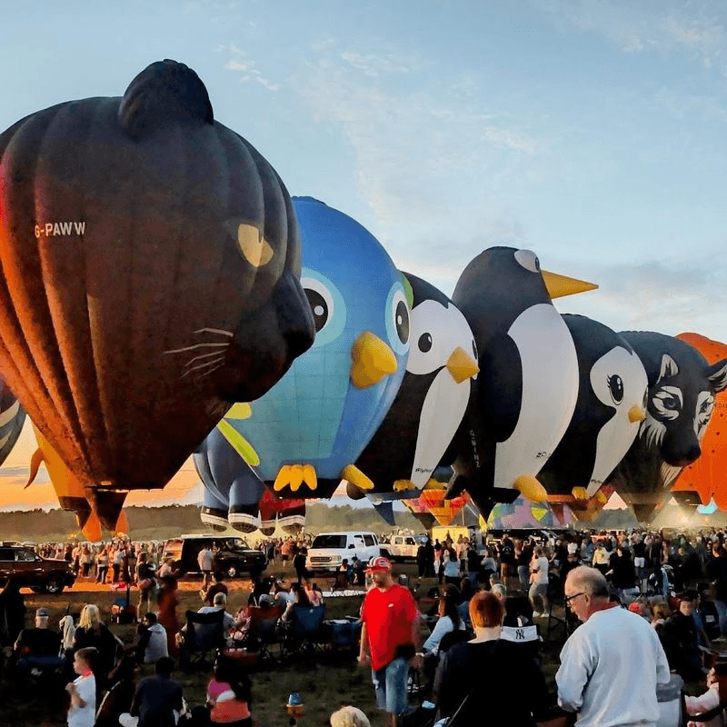 The Adirondack Balloon Festival At Floyd Bennett Memorial Airport