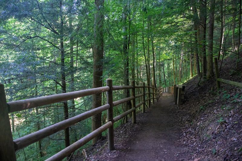 What To Pack For A Day In The Gorge
