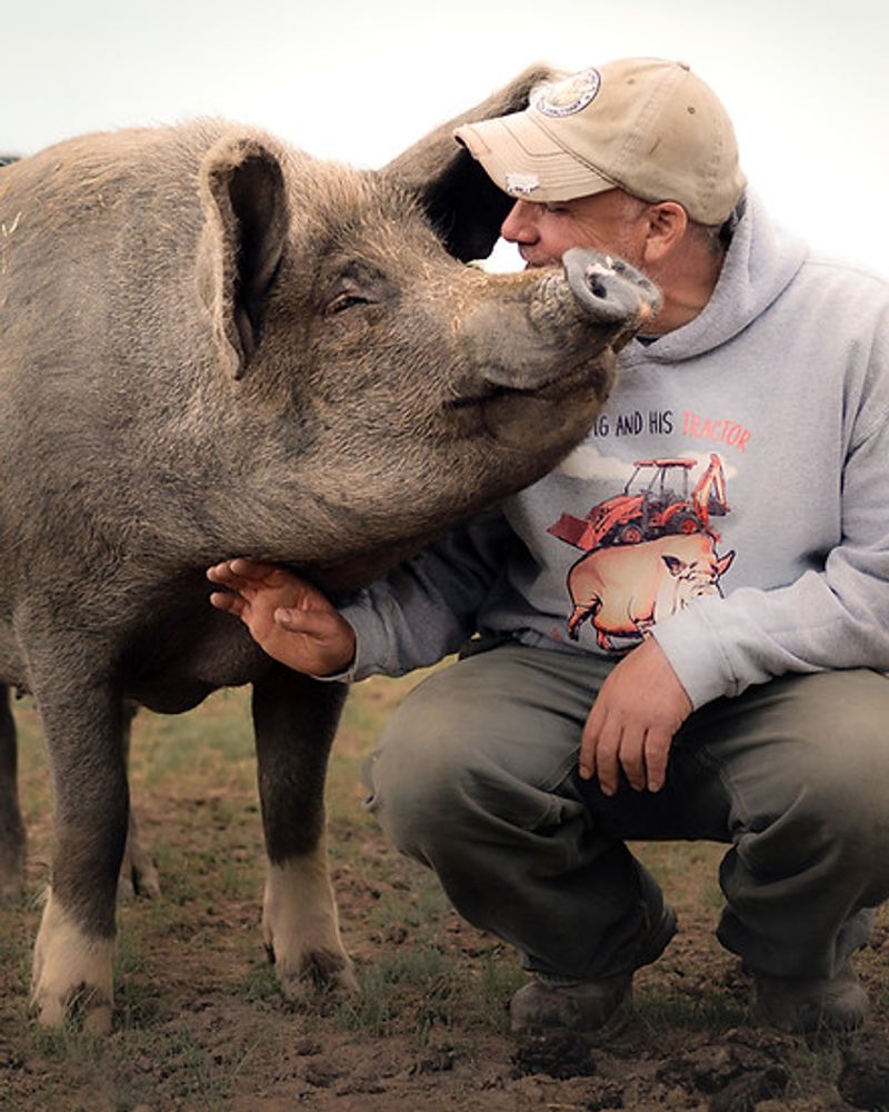 Arthur's Acres Animal Sanctuary And The Story Behind The Name
